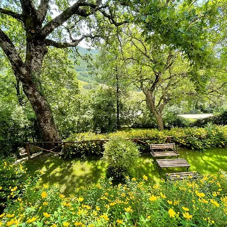 Holiday home Serene Tuscan Retreat With Breathtaking Views