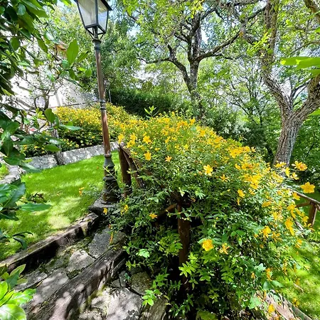 Serene Tuscan Retreat With Breathtaking Views * Strettura