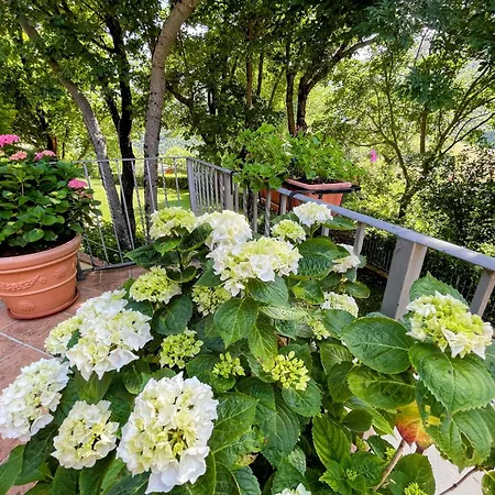 Serene Tuscan Retreat With Breathtaking Views Сasa de vacaciones