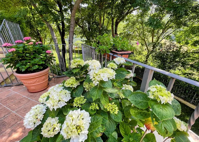 Serene Tuscan Retreat With Breathtaking Views Casa de Férias